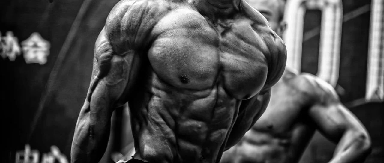 赛事报名 | 第三届东北三省健美健身公开赛