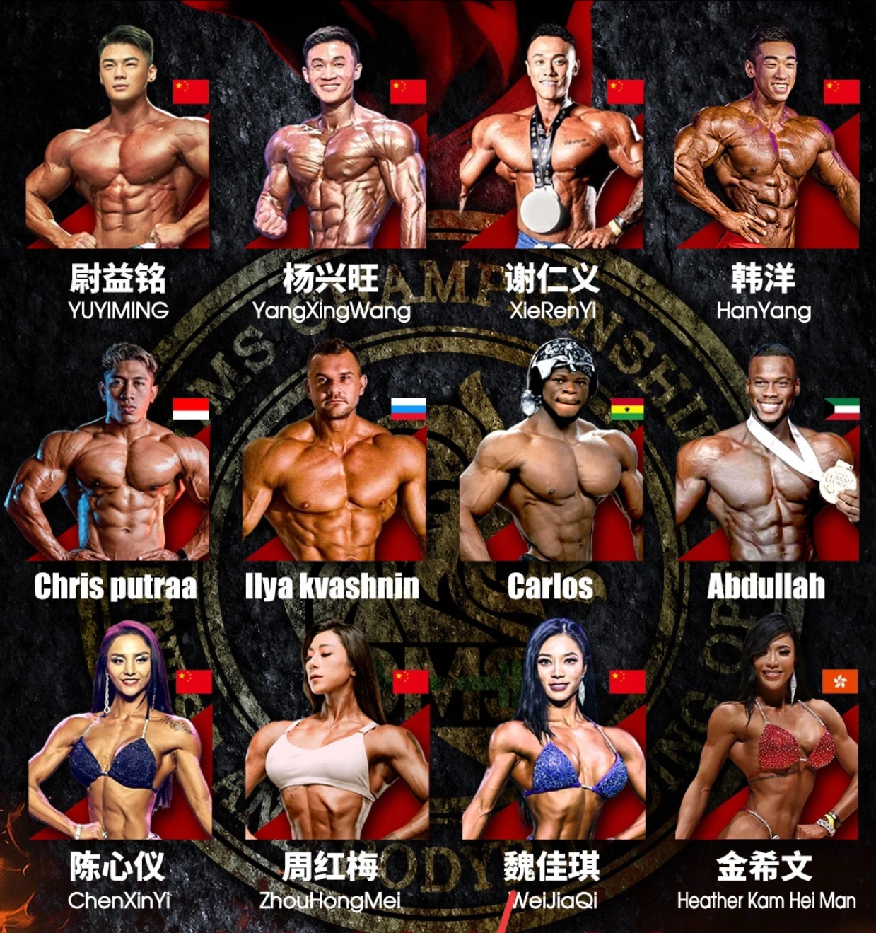 选手阵容公布!2024DMS中国职业赛门票余票不多了,抢购从速!(附赛事流程)